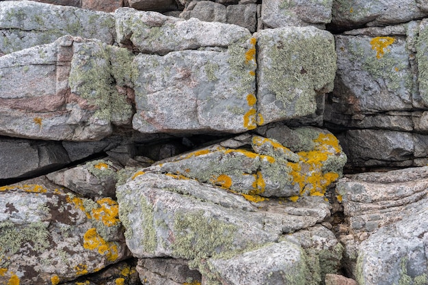 Strzał zbliżenie omszałych skał na wyspie Bornholm w Danii w ciągu dnia