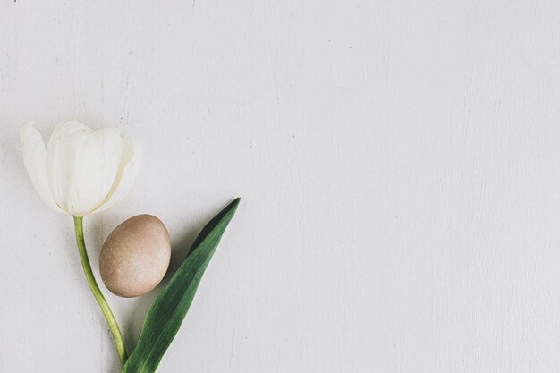 Stylowe jajko wielkanocne i mieszkanie tulipana leżały na rustykalnym białym drewnie Wesołych Świąt Kartkę z życzeniami
