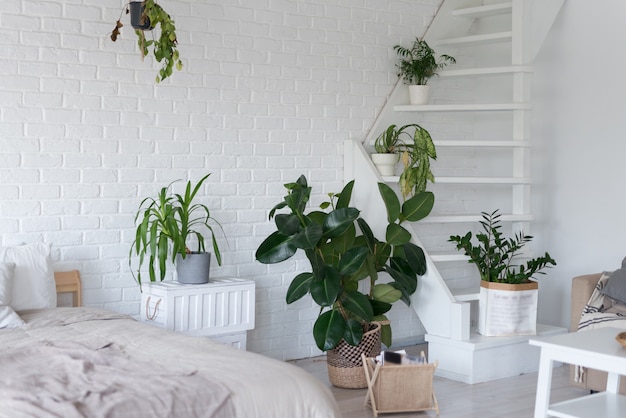 Stylowy wystrój sypialni z roślinami doniczkowymi.