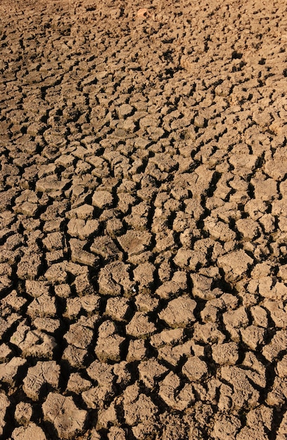 Zdjęcie sucha i popękana ziemia spowodowana suszą w paraiba w brazylii. zmiana klimatu i kryzys wodny.