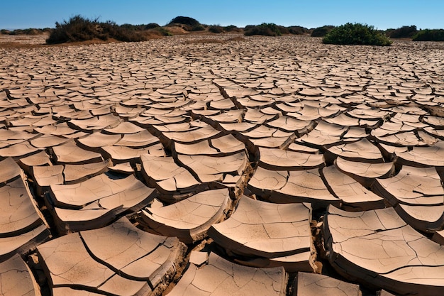 Sucha popękana ziemia Namib Desert Namibia