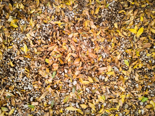 Zdjęcie suche liście i kamienie w ogrodzie i widok z góry