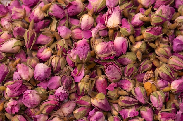 Zdjęcie suche róże herbaty odizolowane na białym tle