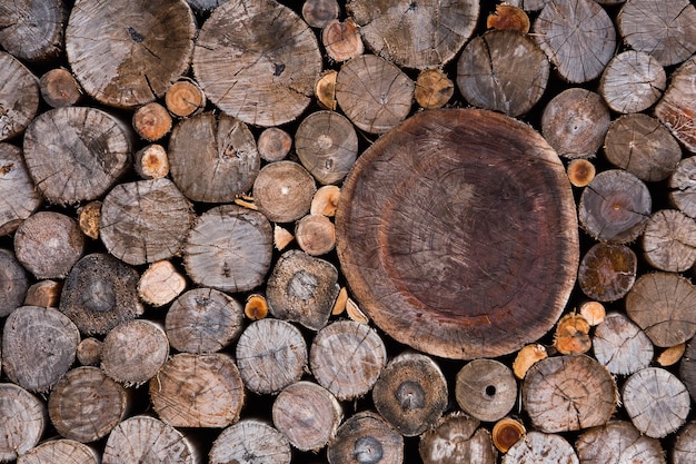 Suche siekane kłody drewna opałowego ułożone jedna na drugiej w stosie