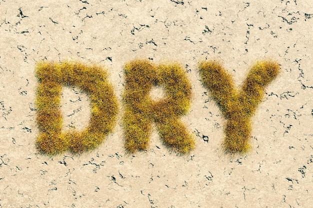 Zdjęcie suche słowo utworzone przez trawę na pustynnym terenie