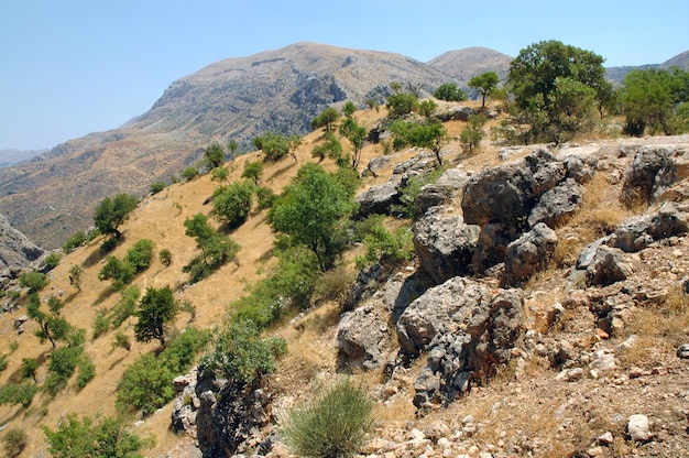 Zdjęcie suchy krajobraz w północnym kurdystanie, wschodniej turcji