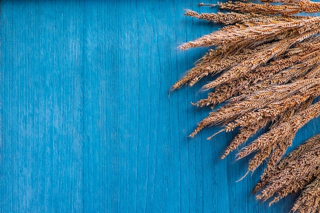 Zdjęcie suchy kwiat trawy na niebieskim tle drewnianych