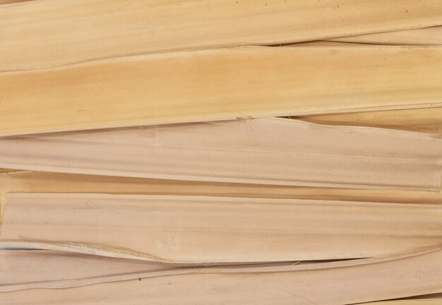Suchy liść palmowy stół, Abstrakcjonistycznej brown natury suchy liść stół