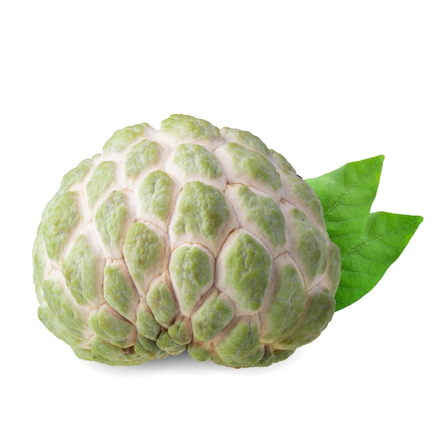 Sugar Apple Lub Custard Apple Na Białym Tle.