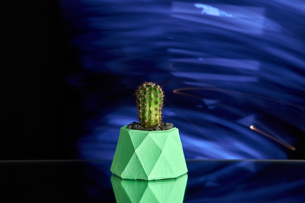 Sukulenty, Kaktus W Zielonym Betonowym Garnku Na Niebieskim Tle światła. Wyczyść Zdjęcie