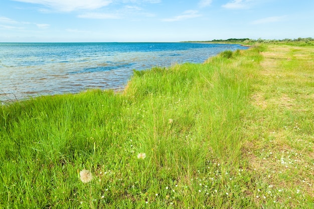 Zdjęcie summer coastline (okolice miasta skadovsk, krym, ukraina).