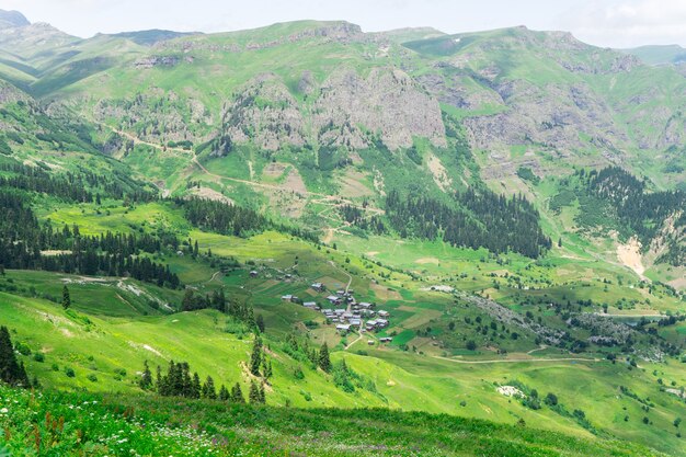 Summer Mountain Plateau Highland z Artvin, Turcja