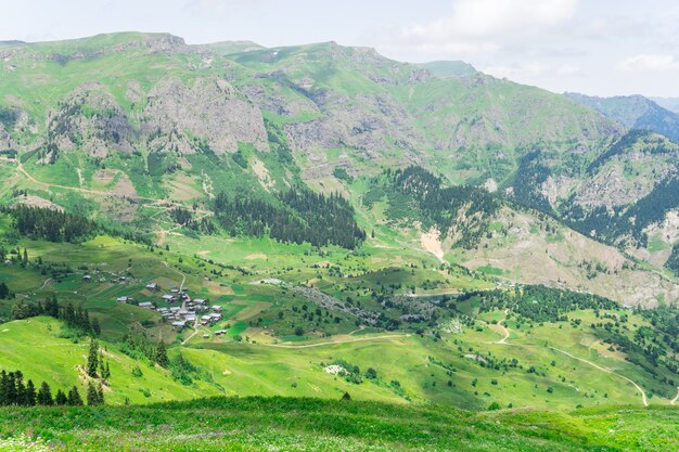 Summer Mountain Plateau Highland z Artvin, Turcja