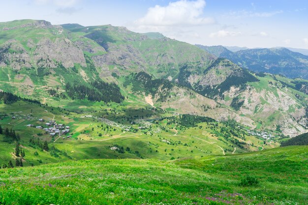 Summer Mountain Plateau Highland z Artvin, Turcja