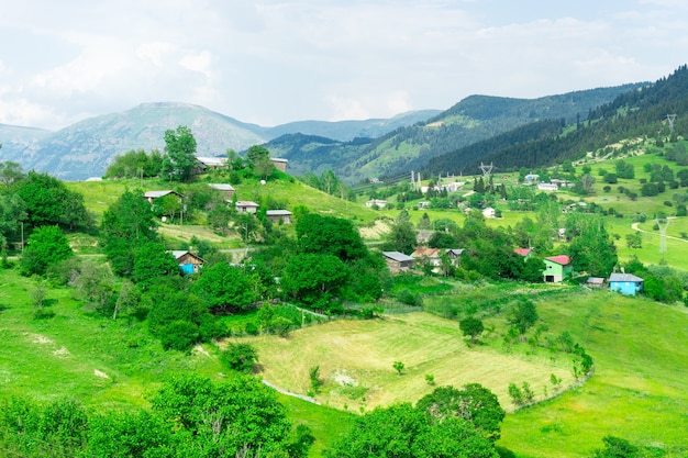 Summer Mountain Plateau Highland z Artvin, Turcja