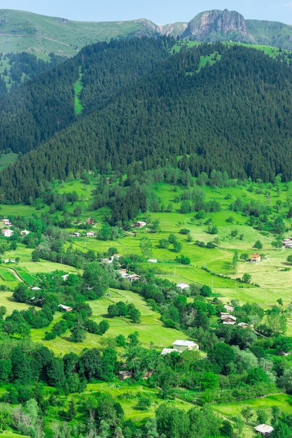 Summer Mountain Plateau Highland z Artvin, Turcja