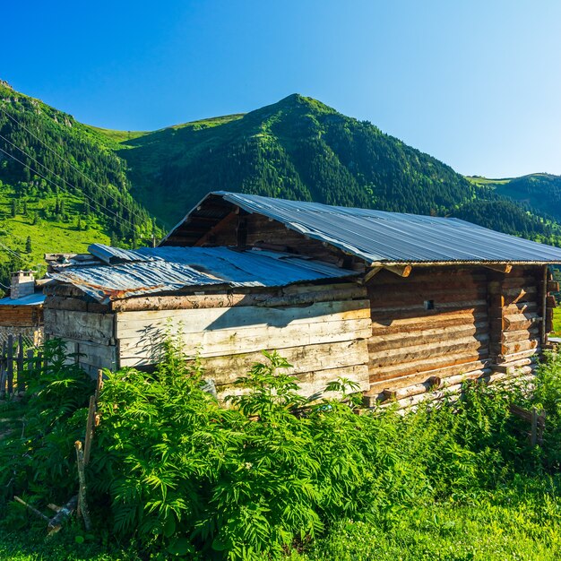 Summer Mountain Plateau Highland z Artvin, Turcja