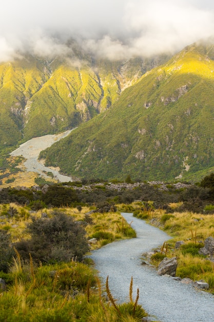 Summertime widok Aoraki góry Cook park narodowy, Południowa wyspa Nowa Zelandia