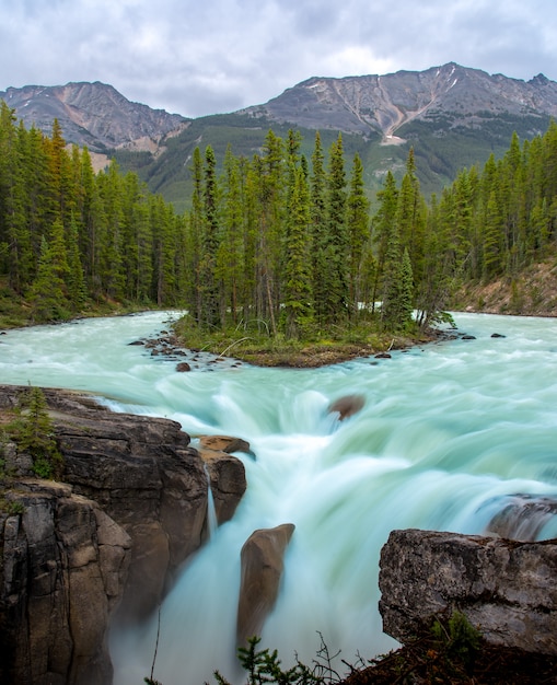 Sunwapta Falls z błękitną wodą płynącą w Spring, Alberta, Kanada