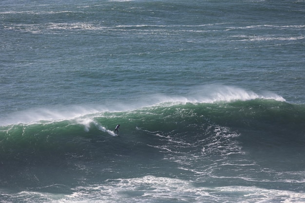 Surfer przejażdżka na fali morskiej