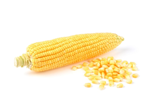 Surowa Kukurydza Słodka Na Białej Bazie