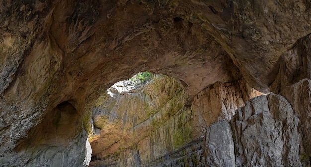 surowa ziemia tunel las rzeka