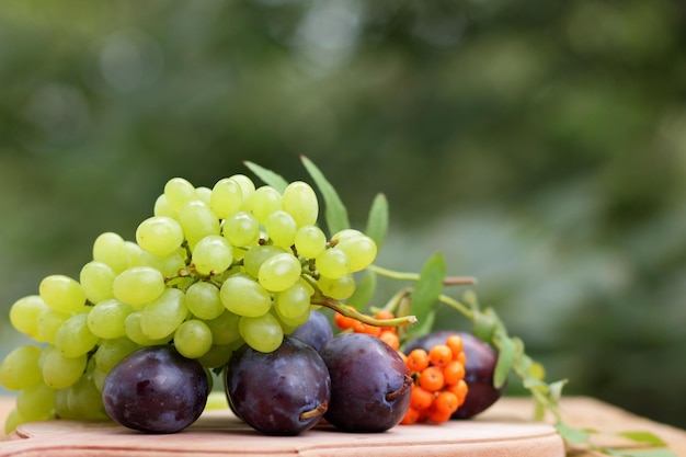 Surowe i organiczne owoce zbierane z ogrodu na drewnianym stole Śliwki winogronowe i jarzębina na drewnianej desce na rozmytym tle