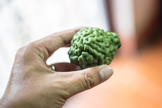 Zdjęcie surowy kaffir koloru zielonego limonki