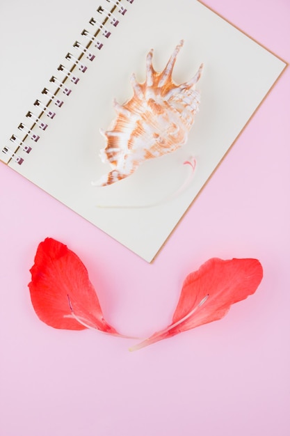 Surrealistyczna koncepcja płatki Gladiolus i muszla Kreatywna koncepcja na różowym tle