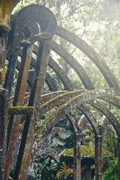 Zdjęcie surrealistyczny ogród las pozas w xilitla meksyk