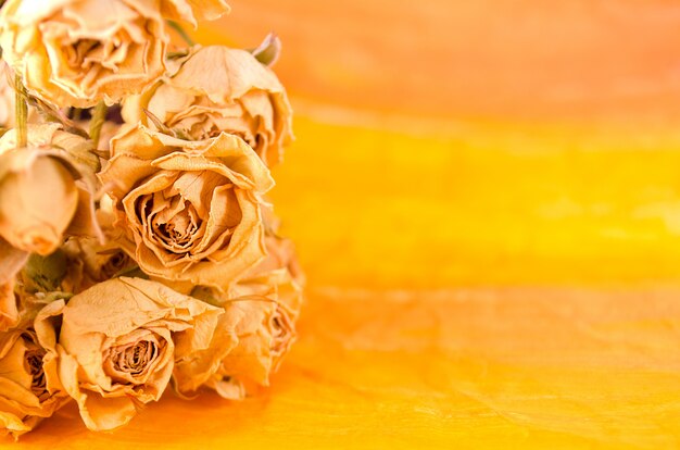 Zdjęcie suszone żółte róże