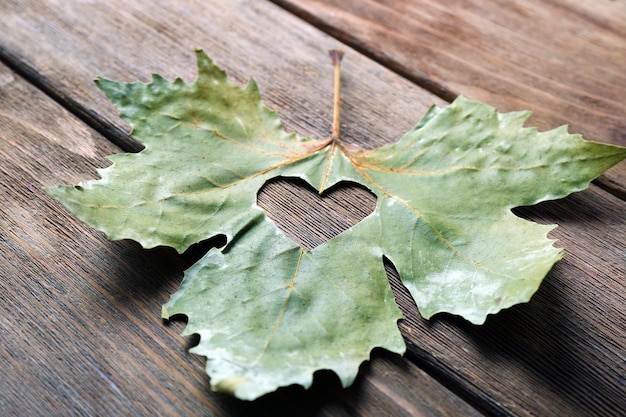 Suszony jesienny liść z wycinanym sercem na podłoże drewniane