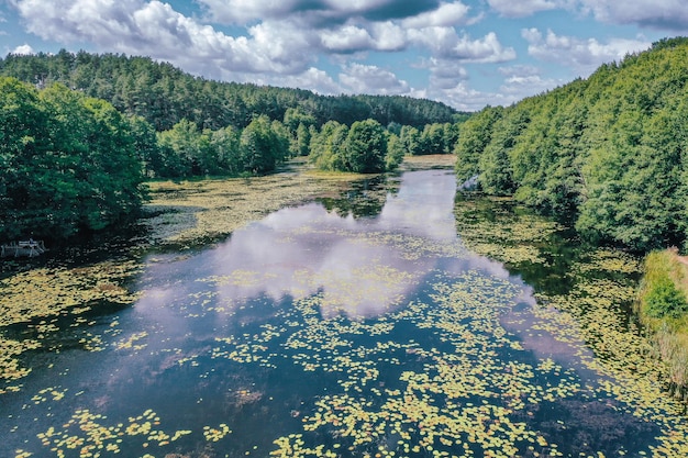 Zdjęcie suwalski park krajobrazowy tapety piękny krajobraz lasy