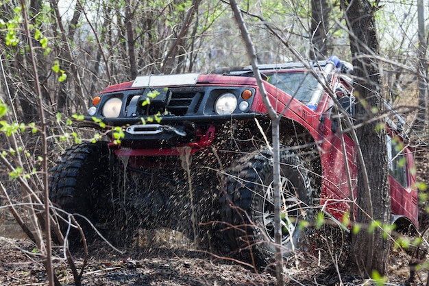 Zdjęcie suzuki jimny pokonuje przeszkodę wodną w wiosennym lesie