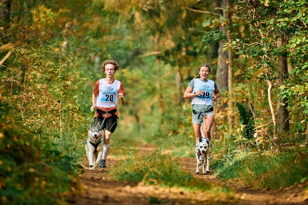 Svetly, obwód kaliningradzki, Rosja - 2 października 2021 - Canicross cross country bieg z psami, atletyczny maszer bieg z Siberian Husky i psem dalmatyńczykiem, wyścigi psich zaprzęgów sportowe na świeżym powietrzu