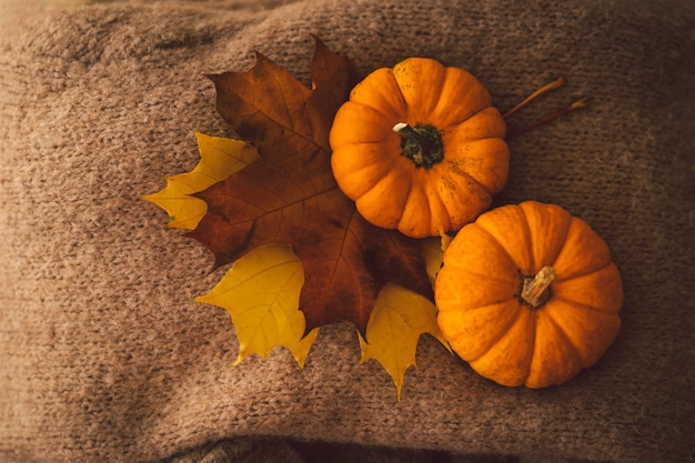 Swetry i dwie dynie z jesiennymi liśćmi martwa natura detale we wnętrzu domu przytulna jesień