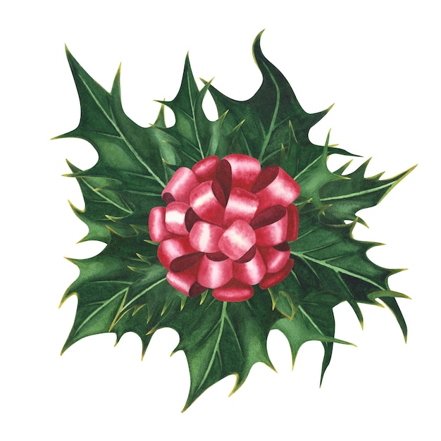 Świąteczna roślina ostrokrzew z czerwoną jedwabną wstążką na białym tle Akwarela ręcznie rysowane ilustracja świąteczna Dekoracja artystyczna