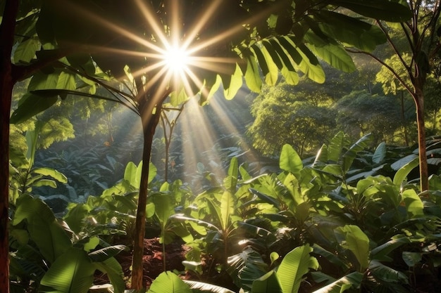 Światło słoneczne przepływające przez liście plantacji kawy stworzone za pomocą generatywnej AI