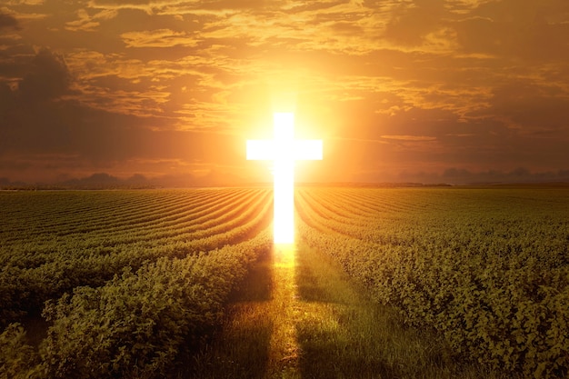 Światło tworzące znak krzyża z nieba
