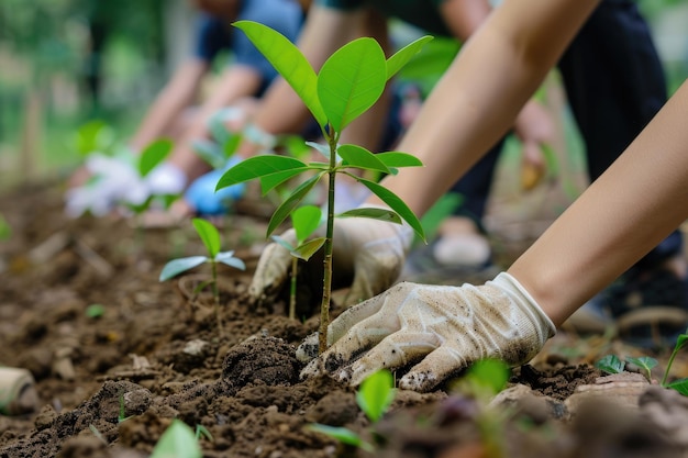 Światowy Dzień Środowiska: CSR - sadzenie drzew z wolontariuszami