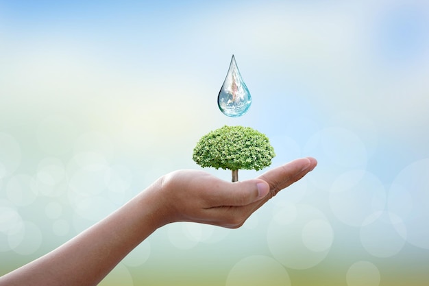 Światowy Dzień Wody Woda z kranu Aby chronić środowisko dla zrównoważonego rozwoju