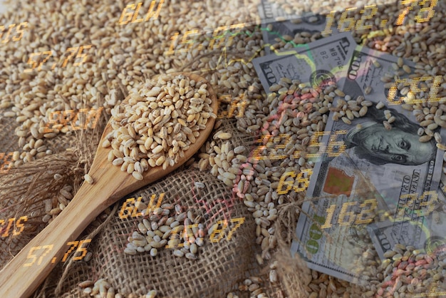 Światowy i europejski kryzys zbóż i pszenicy po rosyjskiej inwazji na Ukrainę embargo i sankcje