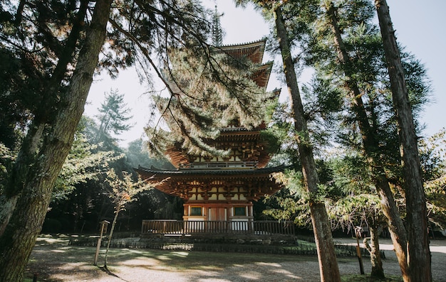 Świątynia Daigoji w Kioto, Japonia