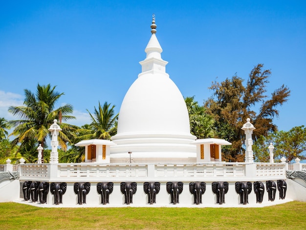 Świątynia Dambakola Patuna Sri Sangamitta Viharaya to buddyjska świątynia w pobliżu Dżafny na Sri Lance
