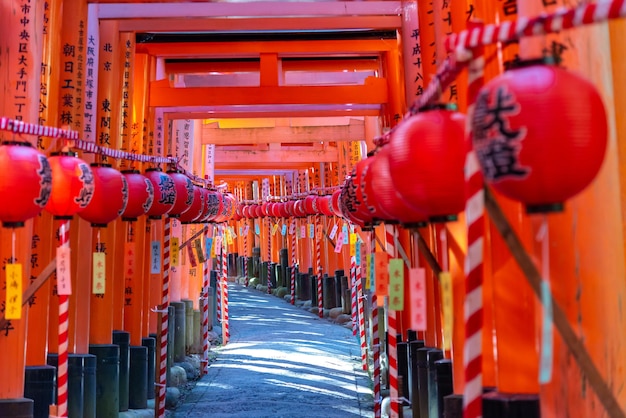 Świątynia Fushimi Inaritaisha Tysiące niezliczonych cynobrowych bram Torii na wzgórzu Kioto Japonia