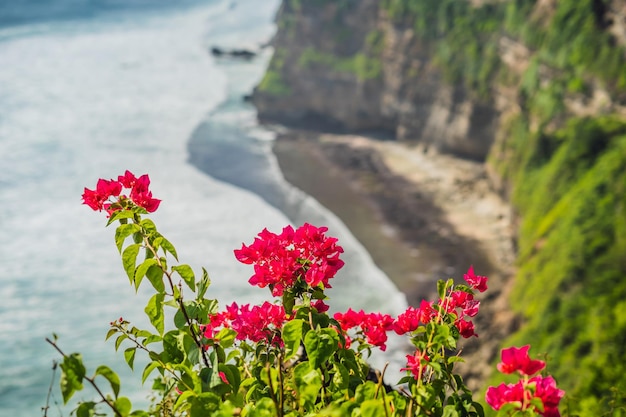 Świątynia Pura Luhur Uluwatu, Bali, Indonezja. Niesamowity krajobraz - klif z błękitnym niebem i morzem.