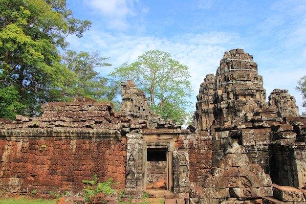 Świątynia Ta Prohm, Siem Reap, Kambodża.
