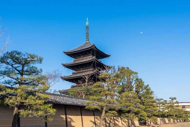 Świątynia Toji Fivestoried Pagoda Miejsce Światowego Dziedzictwa Kioto Japonia