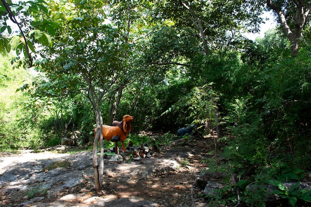 Świątynia Wat Khao Phra Si Sanphet Chayaram w mieście U Thong w Suphan Buri w Tajlandii