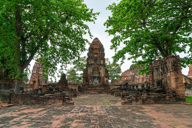 Świątynia Wat Mahathat w rejonie Parku Historycznego Sukhothai, wpisanego na Listę Światowego Dziedzictwa UNESCO w Ayutthaya, Tajlandia